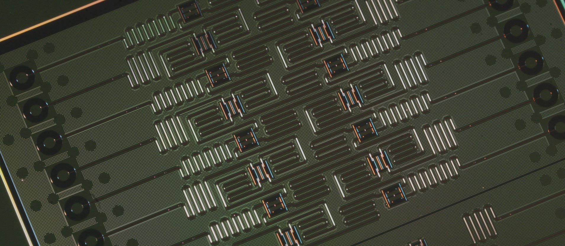 dotQuantum.io | Conosciamo un processore quantistico Cover