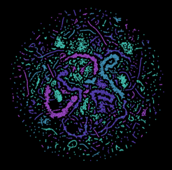 L’immagine mostra l’attività della rete neurale artificiale realizzata dai ricercatori di Erlangen © Max Planck Institute for the Science of Light